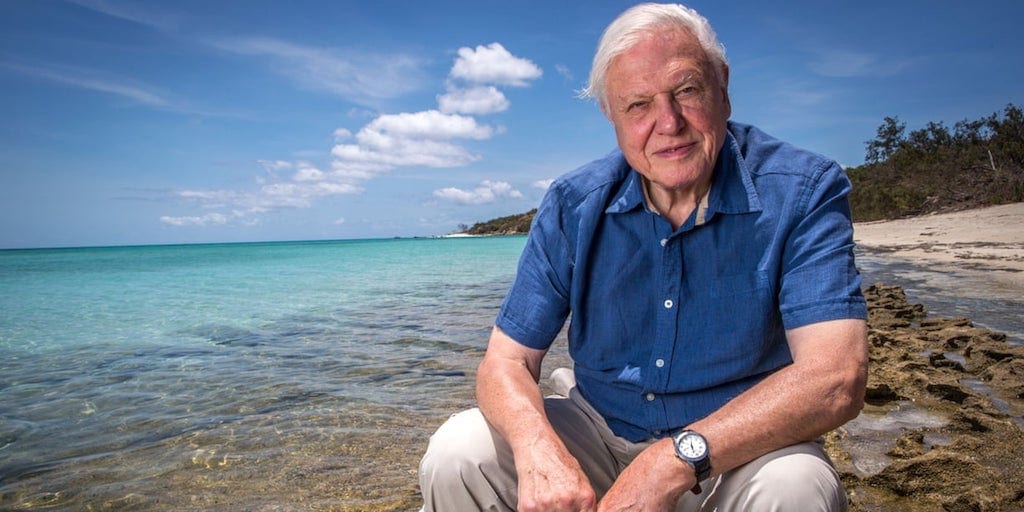David Attenborough sitting on a stone