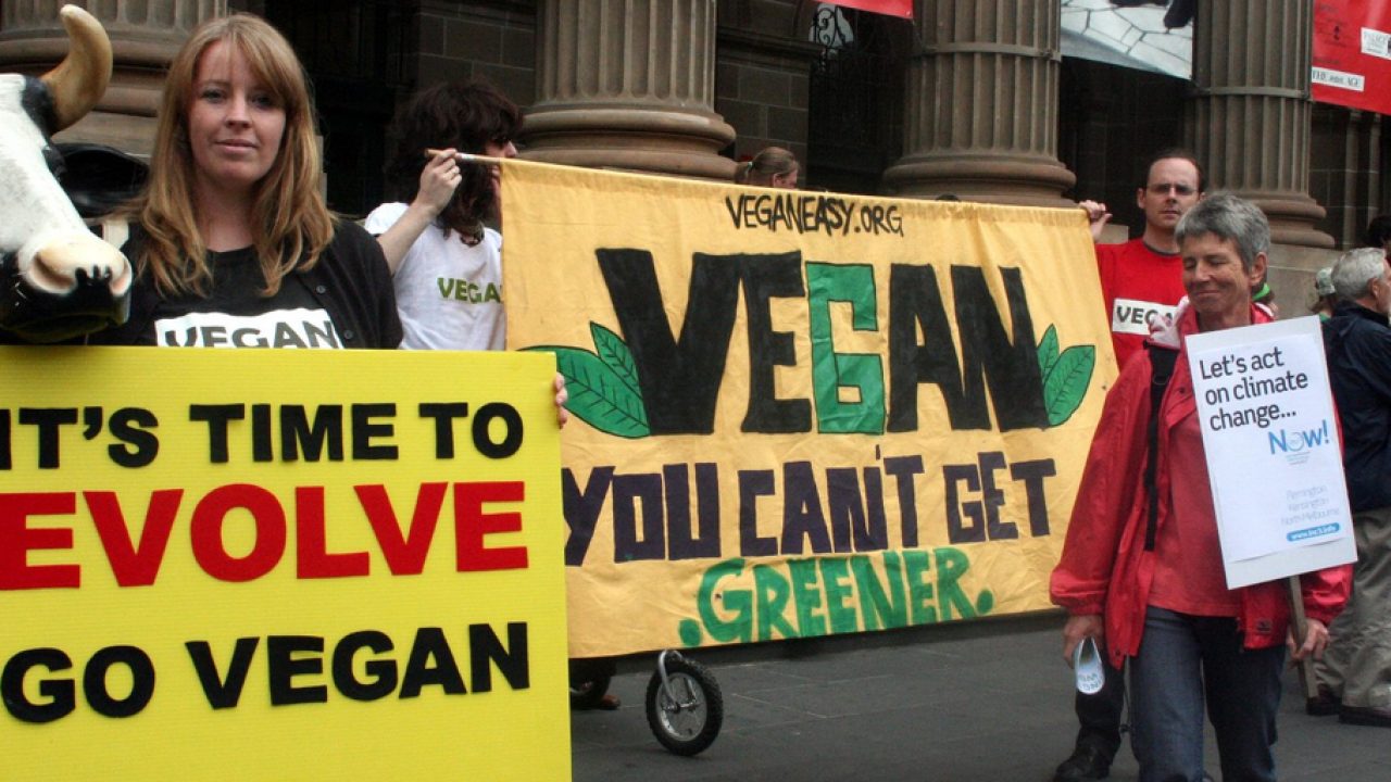 Vegan activist defies ban in 'chaotic' protest
