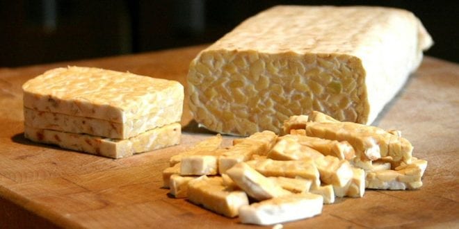What is Tempeh? Everything you need to know about Tempeh