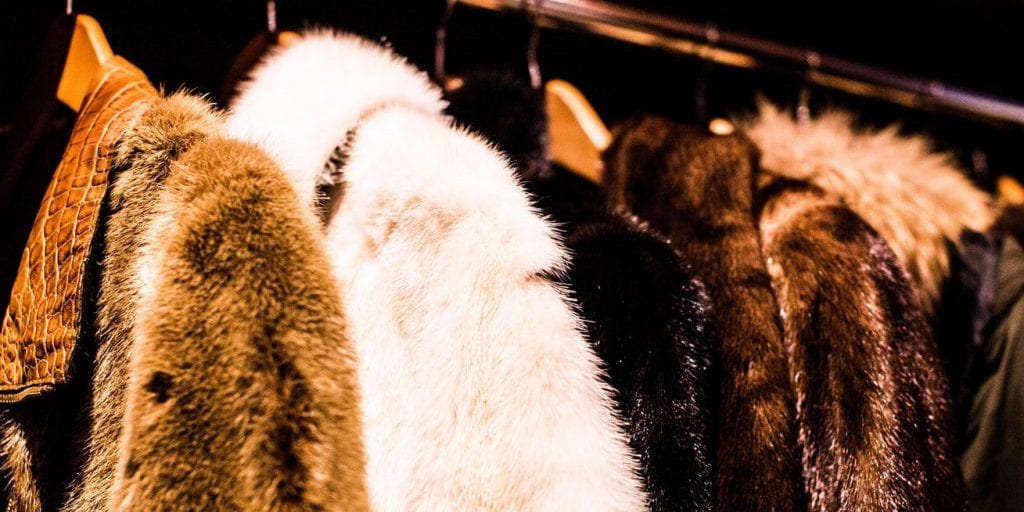 ‘Ethical Fur’ Advert Banned For Being Misleading, Marking The Trade’s ‘Inevitable Demise’