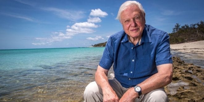 10 Times Sir David Attenborough Was Hilarious, Inspiring, Terrifying and Adorable