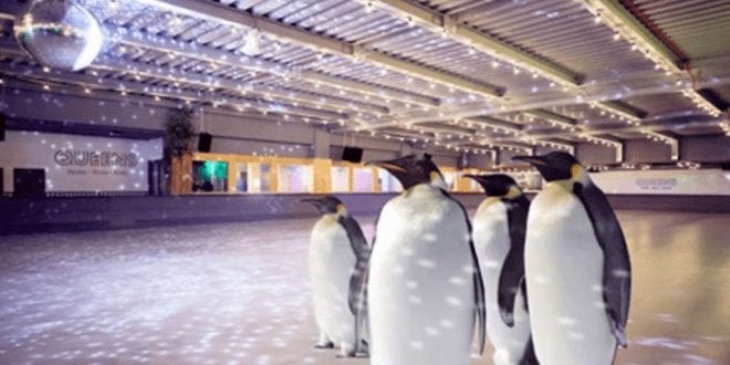 ‘Cruel And Tacky’ Ice Skating With Penguins Event Cancelled After Backlash
