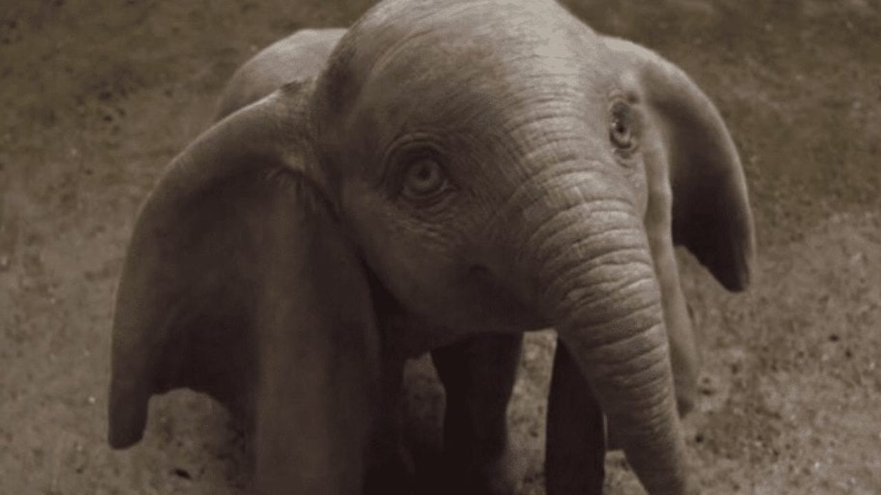 Disney's 'dumbo' remake hailed for 'surprising pro-animal rights agenda' |  Totally Vegan Buzz