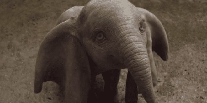Disney’s ‘dumbo’ remake hailed for ‘surprising pro-animal rights agenda’
