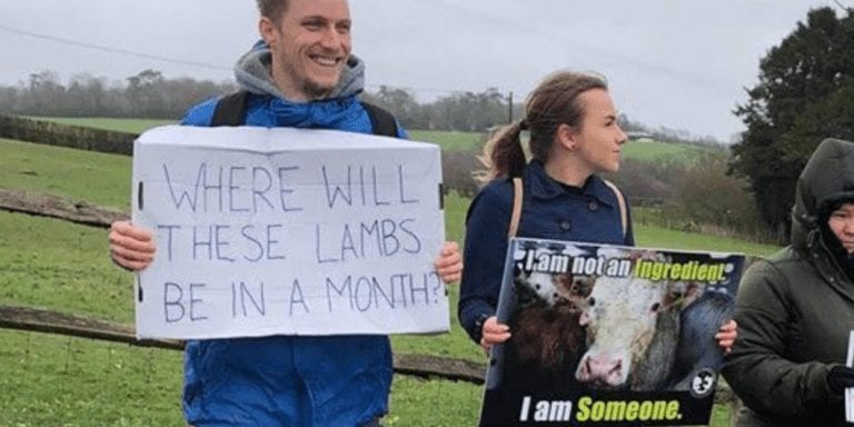 Farm invites children to play with baby lambs right next to their slaughterhouse