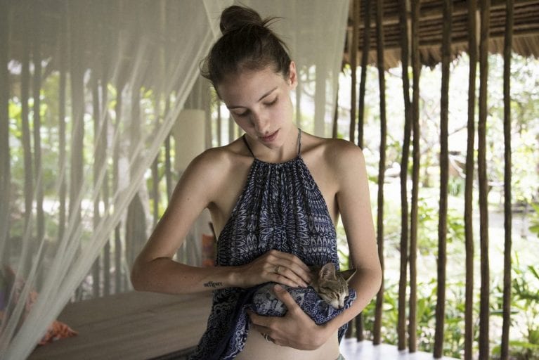 Best job ever- Cat cuddler needed for world’s first vegan luxury resort