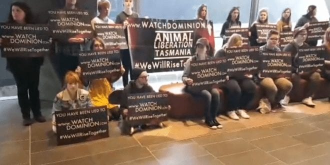 Protesters made a deal to save three lambs from slaughter as demonstrations swept through Australia