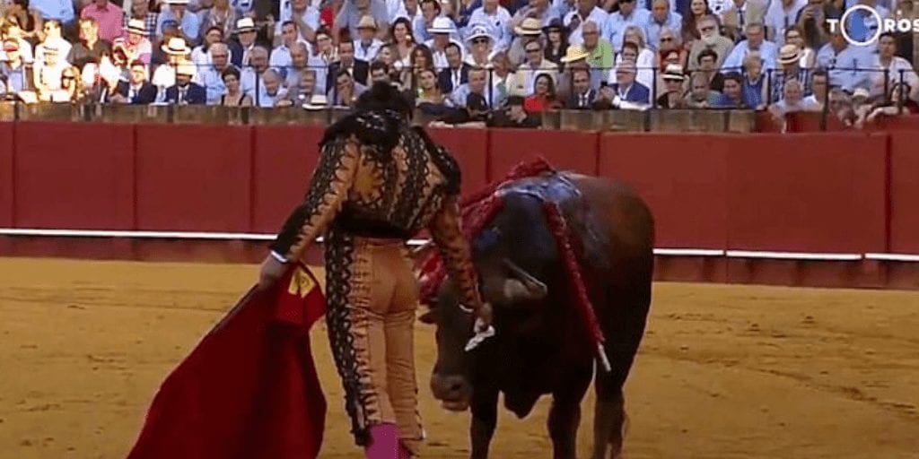 Activists Slam ‘Malicious’ Matador For Wiping Bloody Tears From Injured Bulls Face Before Killing It