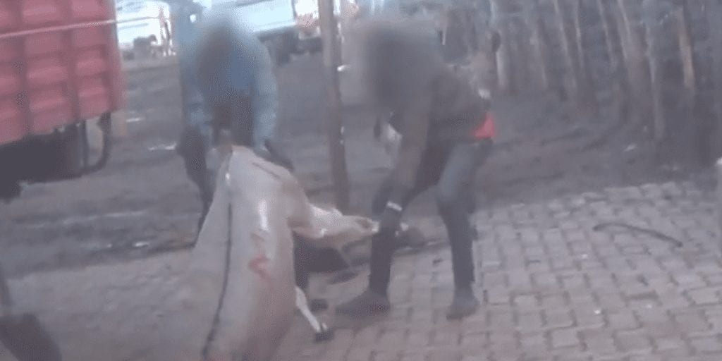 Video Investigation Reveals Horrific Abuse In A Donkey Slaughterhouse Used To Make Sweets And Medicine