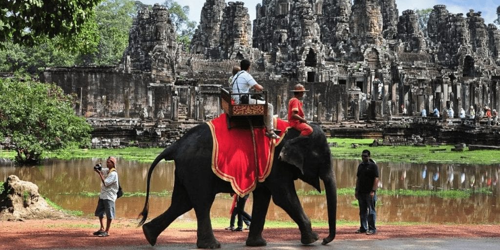 Cambodia bans elephant rides at Angkor Wat