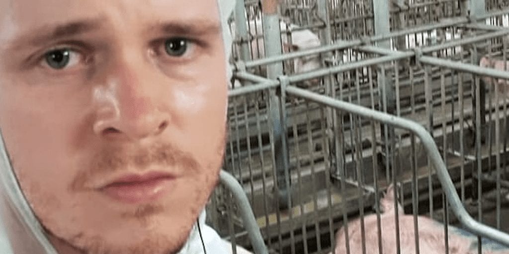 Prominent protester arrested after exposing horrific conditions at pig farm