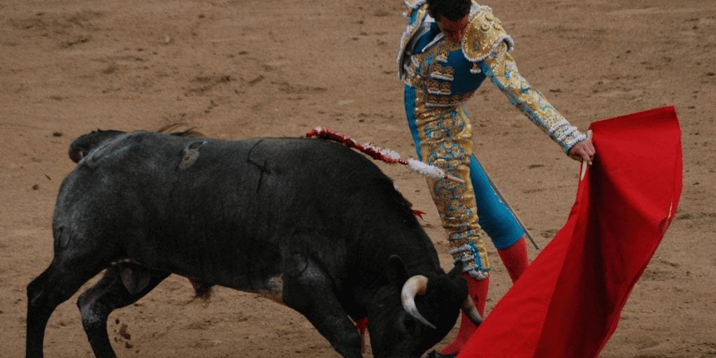 Spanish bullfighting is in rapid decline