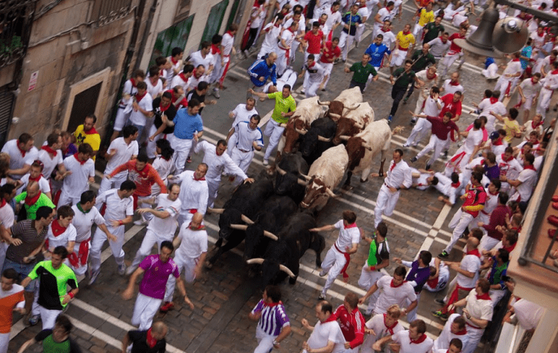 protest against bulls being tortured and killed in Spain’s Running of the Bulls festival