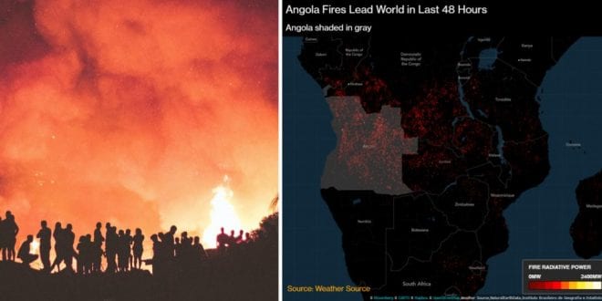 Central Africa is Burning More Than the Amazon, yet the World Remains Silent