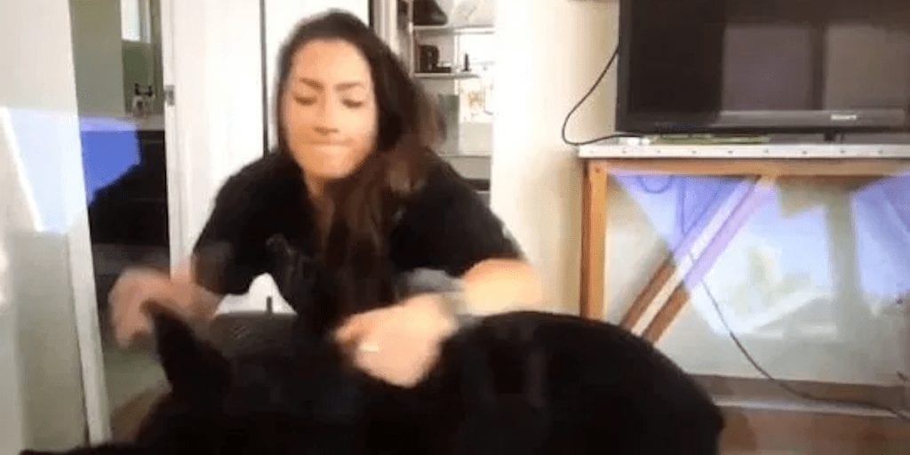 Famous YouTuber blasted for hitting, shoving and spitting on her pet dog