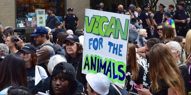 Record Turnout as over 12,000 activists attend the Animal Rights March in London.