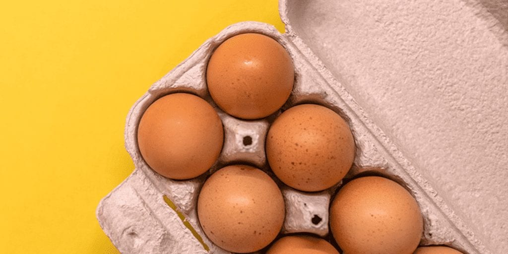 1 in 5 Brits think chicken eggs are vegan