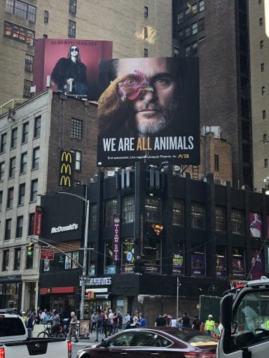 Joaquin Phoenix features on a vegan billboard demanding an to end speciesism
