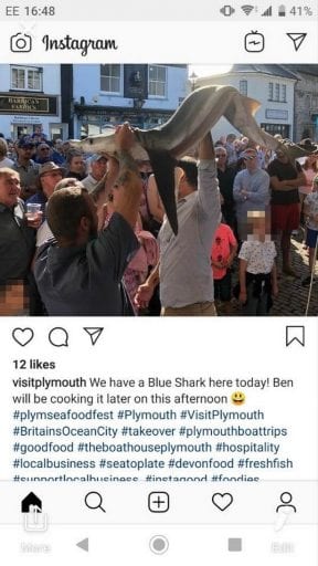 Screenshot_Outrage as endangered blue shark paraded around UK food festival and eaten