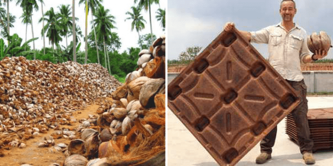 Startup’s new coconut wood technology to save 200 million trees a year