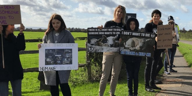 Relentless vegan activists have protested outside a slaughterhouse every month for two years