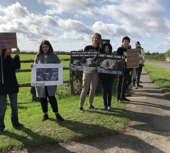 Relentless vegan activists have protested outside a slaughterhouse every month for two years