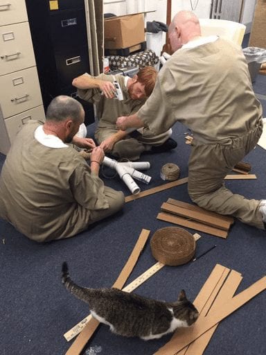 Rescue cats transform inmates' lives at prison in Indiana_TotallyVeganBuzz