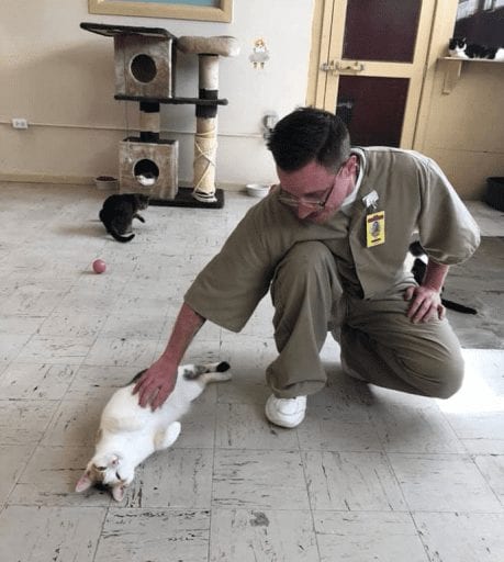 Rescue cats transform inmates' lives at prison in Indiana_TotallyVeganBuzz