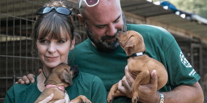 TV stars save 90 dogs set for slaughter in South Korean meat farm