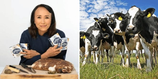 Miyoko’s Creamery to help dairy farms move into plant-based agriculture in a win-win opportunity
