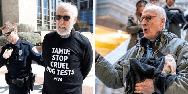 Vegan actor James Cromwell arrested for protesting cruel animal testing