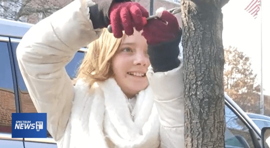 12-year-old plucks staples from trees to help them live longer