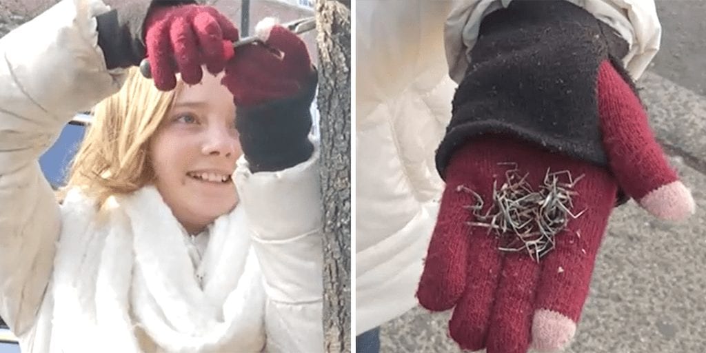 12-year-old plucks staples from trees to help them live longer