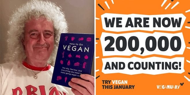 Brian May will ditch animal products for the Veganuary pledge