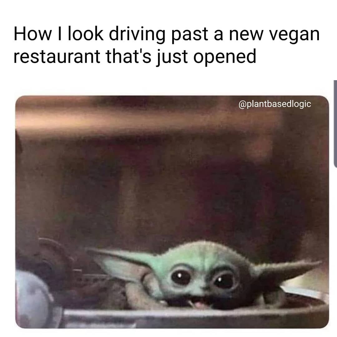 How I look driving past a new vegan restaurant that's just opened