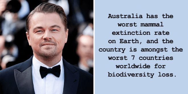 Leonardo DiCaprio slams Australian leaders for 'the world's worst' environmental record