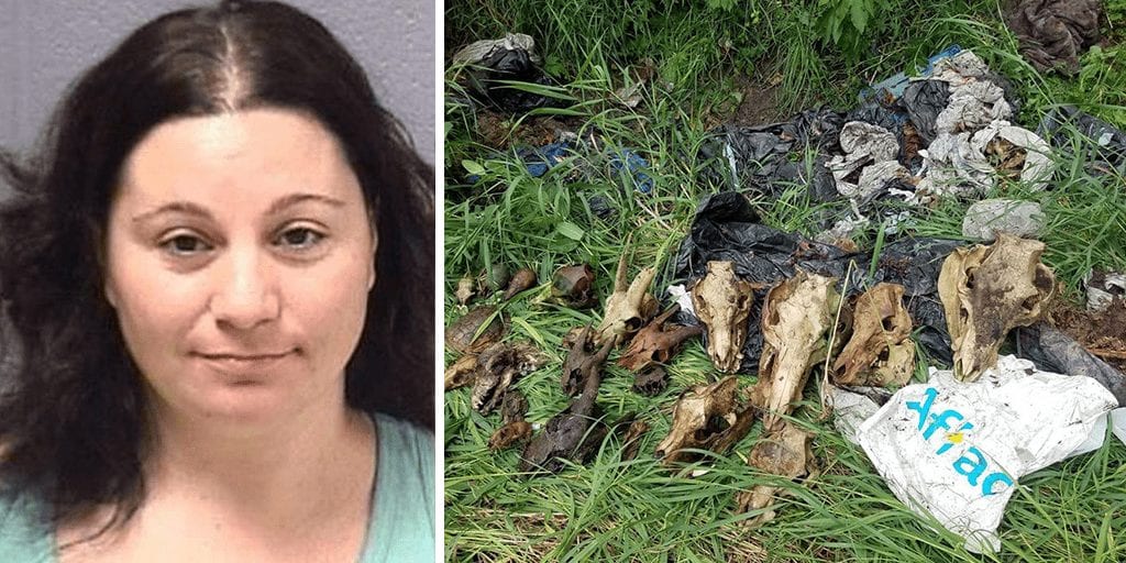 'Animal sanctuary' founder charged after 600 dead animals found at farm