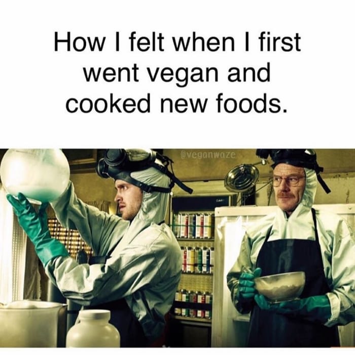 How I felt when I first went vegan and cooked new foods