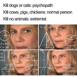 Kill no animals-Extremists