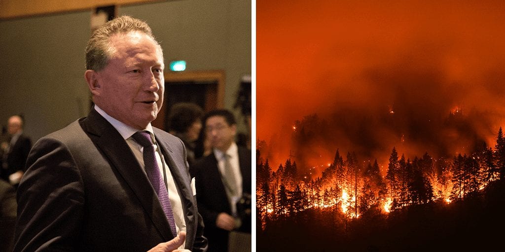 Mining billionaire Andrew Forrest claims Australian bushfires were caused by arsonists