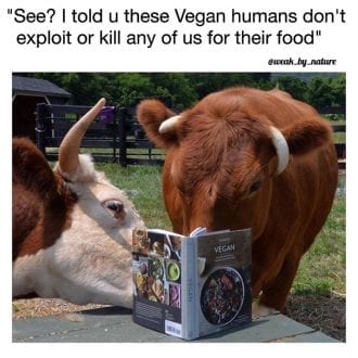 Vegan humans don't exploit or kill any of us for their food