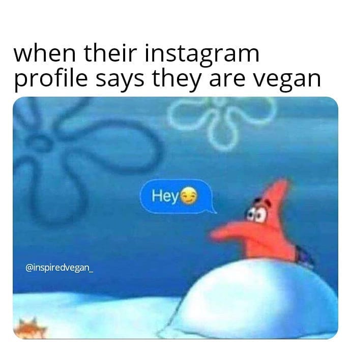 When their instagram profile says they are vegan