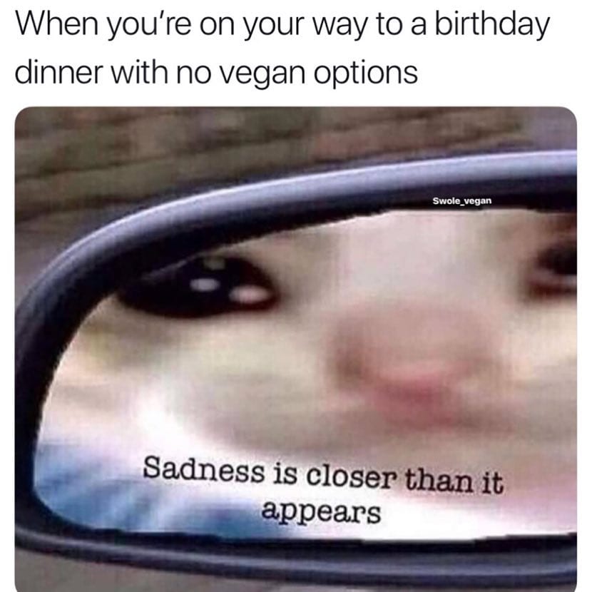 When youre on your way to a birthday dinner with no vegan options_TotallyVeganBuzz