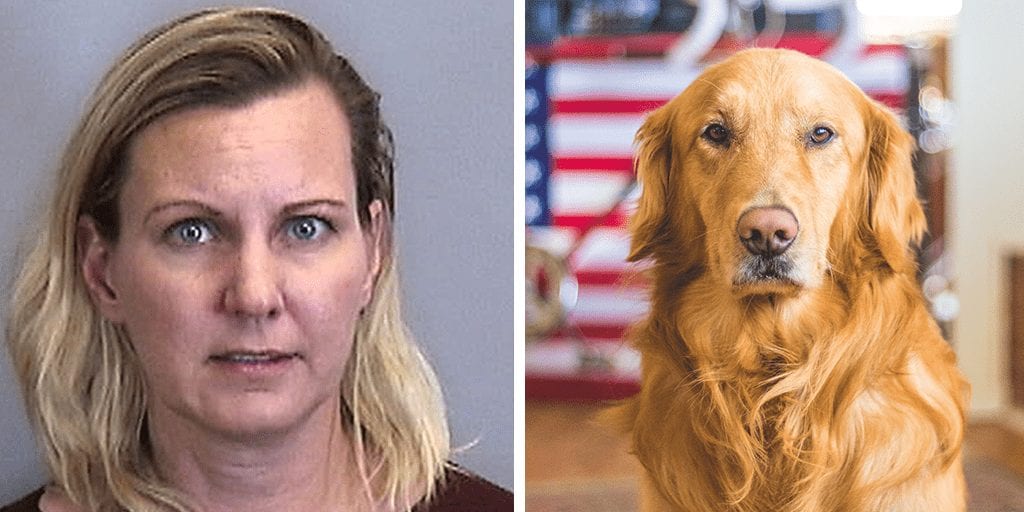 Woman charged for drowning her Labrador in the bath
