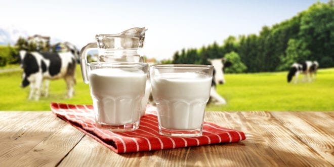 2 cups milk a day can increase your breast cancer risk by 80%