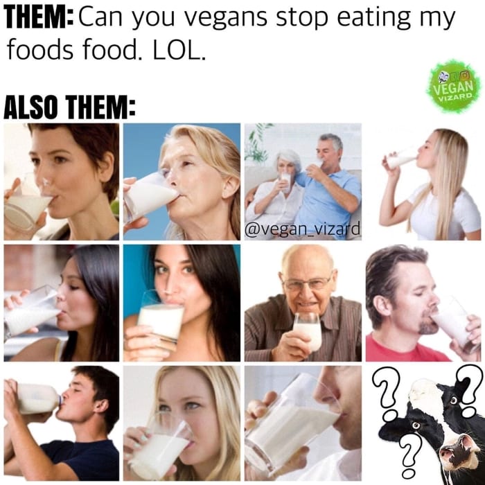 Can you vegans stop eating my foods food