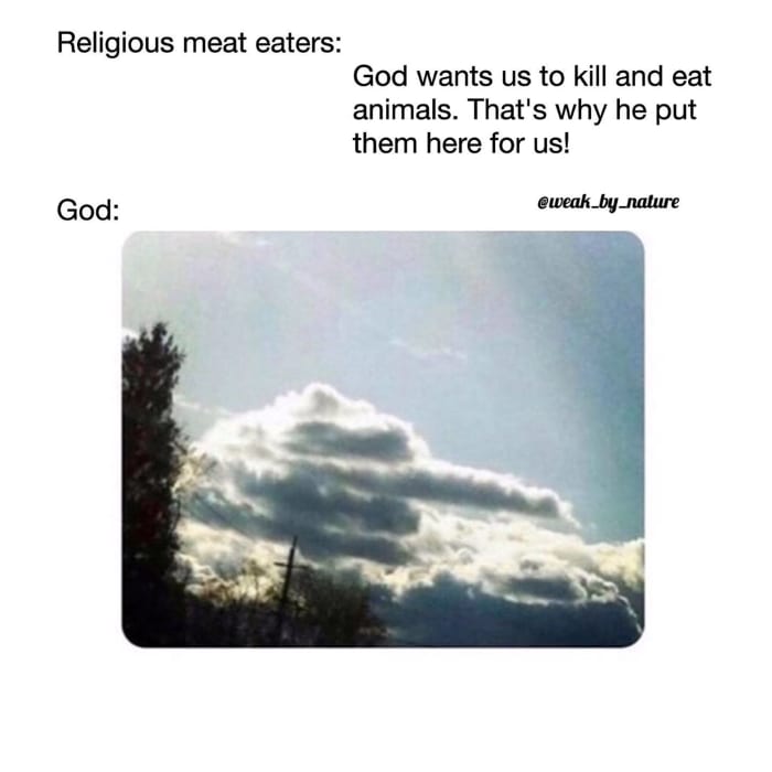 God wants us to kill and eat animals