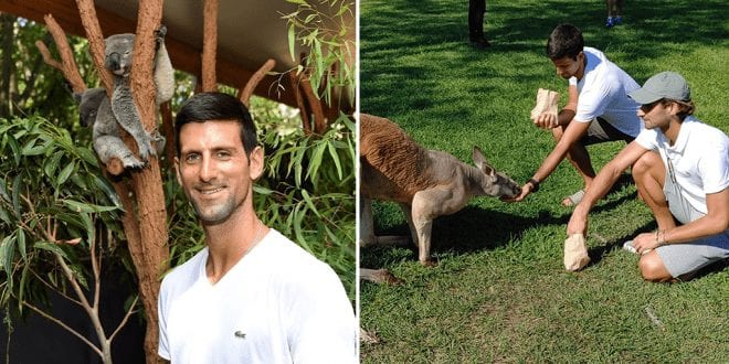 Vegan athlete Novak Djokovic can’t stand animals being slaughtered for food