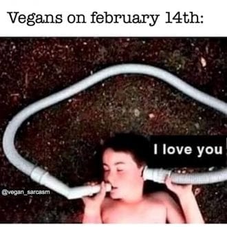 Vegans on february 14th