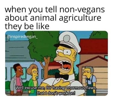 When you tell non vegans about animal agriculture they be like